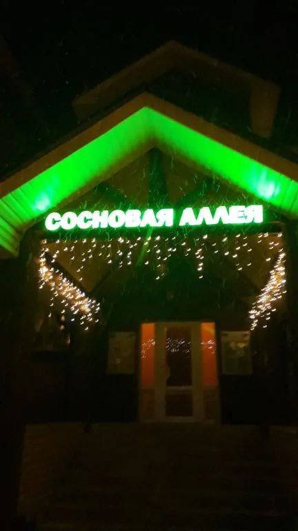 Сосновая аллея — Горные лыжи