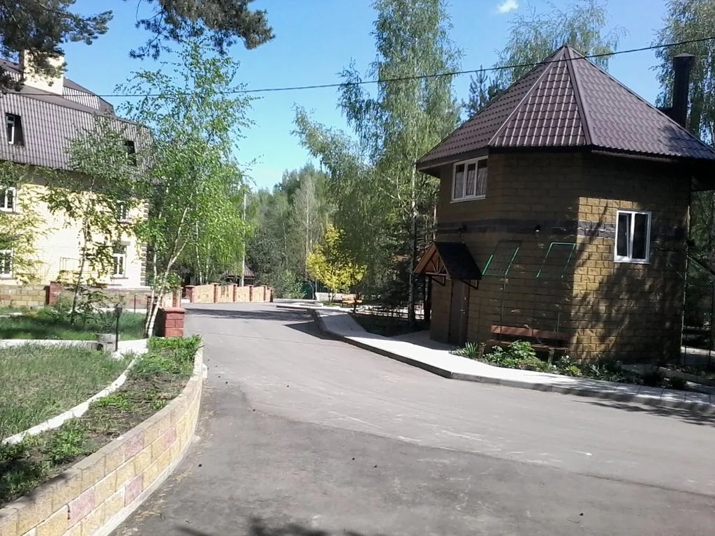 Сосновая аллея, фото 7