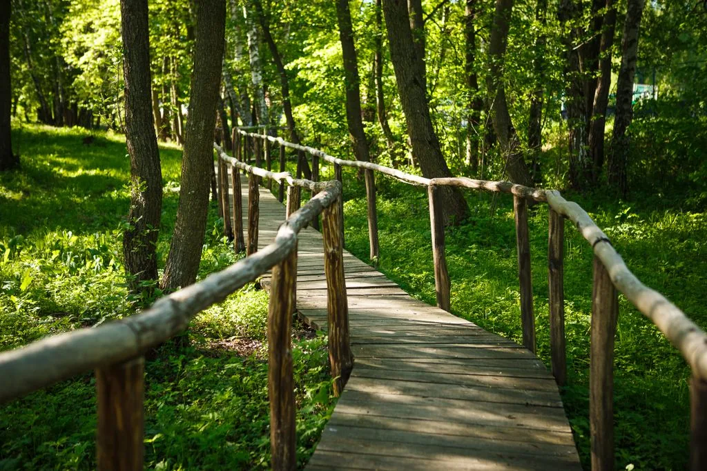 Эко-клуб Голицыно, фото 5