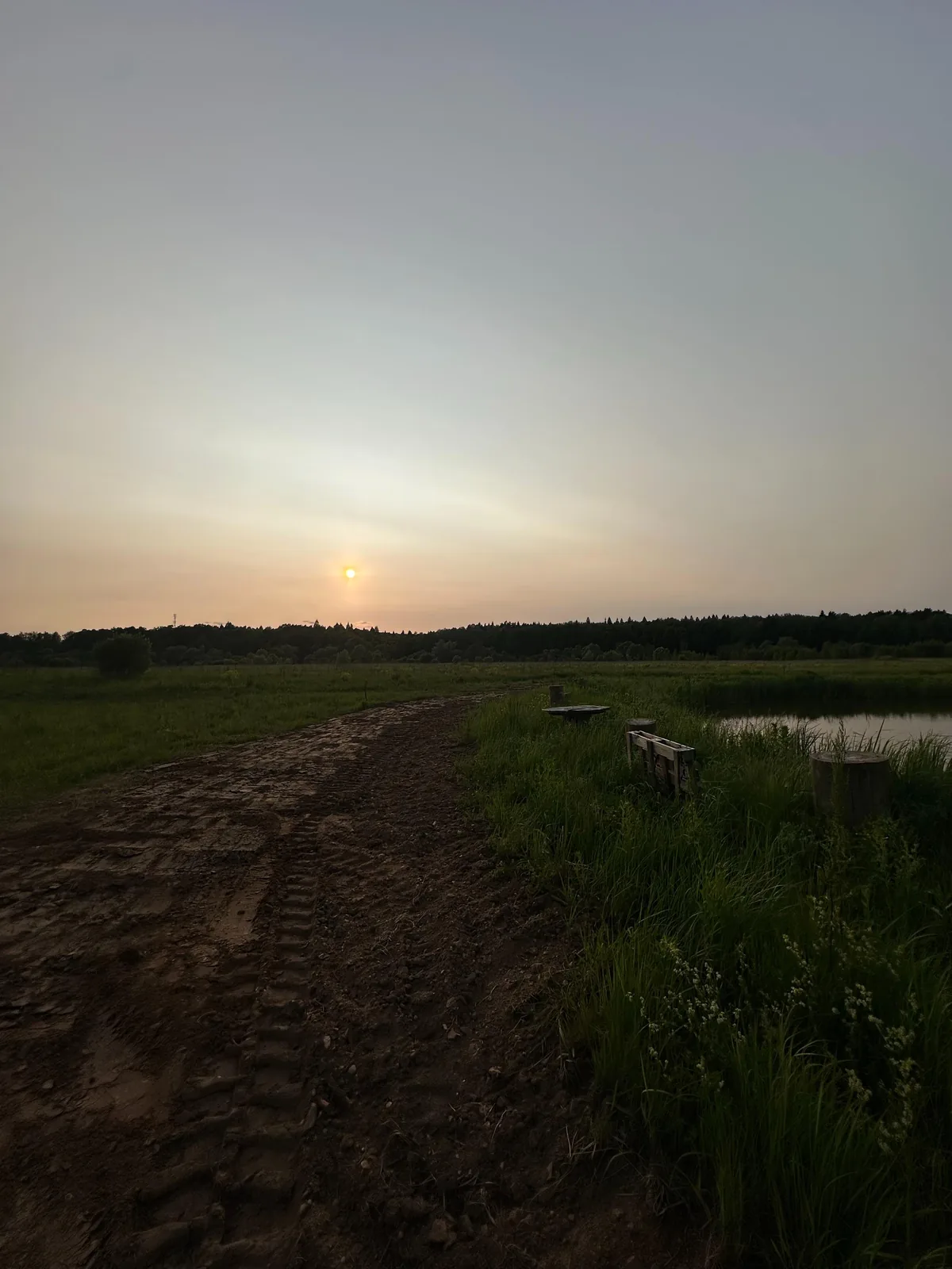 Рыбалка на своём пруду, фото 3