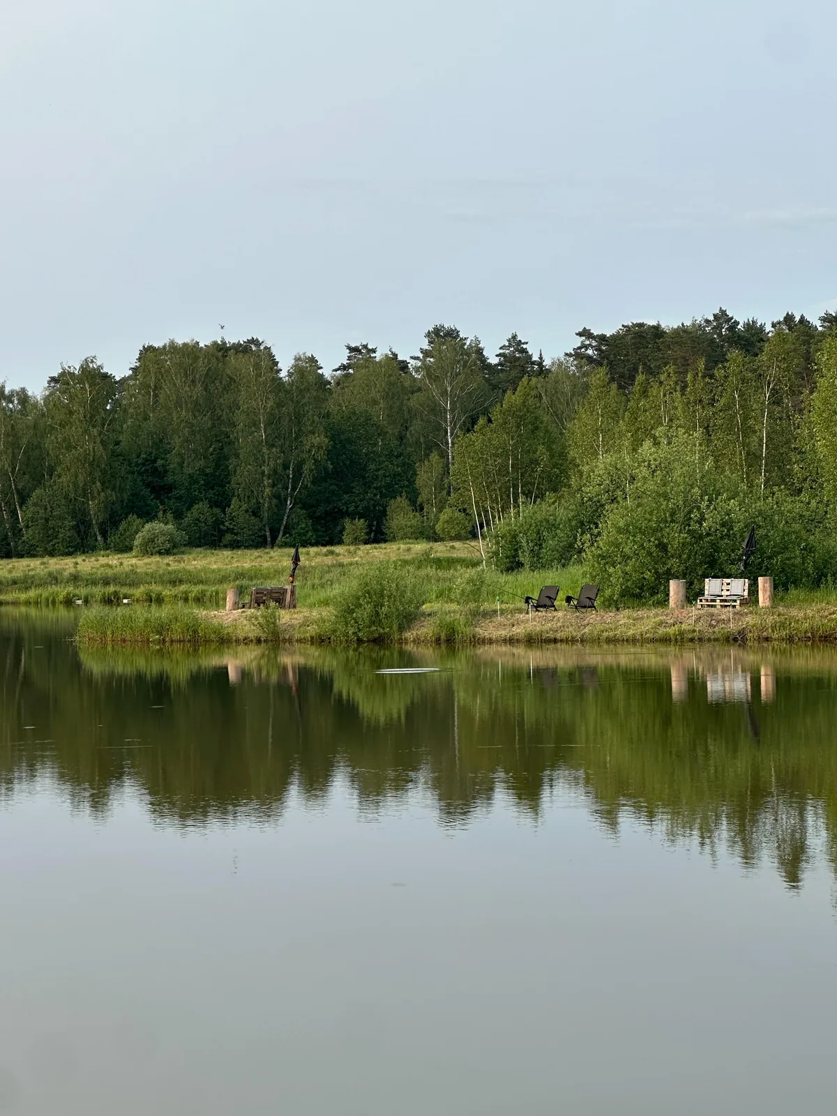 Рыбалка на своём пруду, фото 4