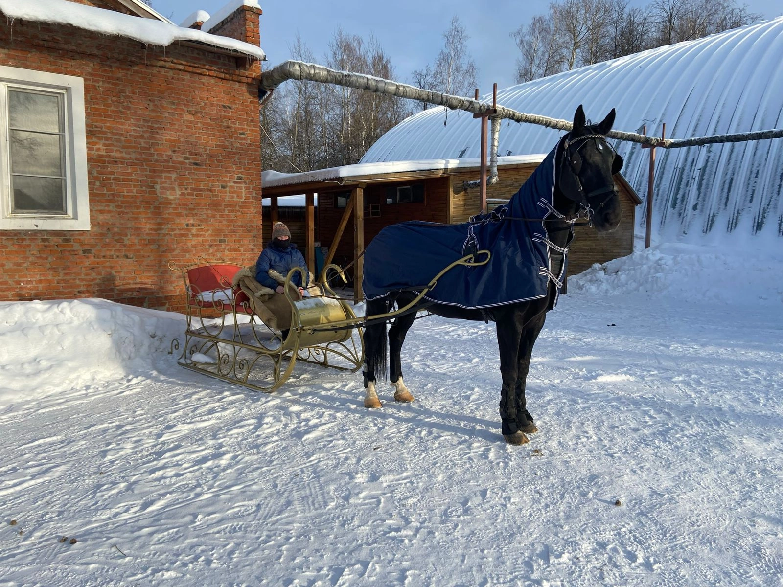 Конный клуб, фото 3