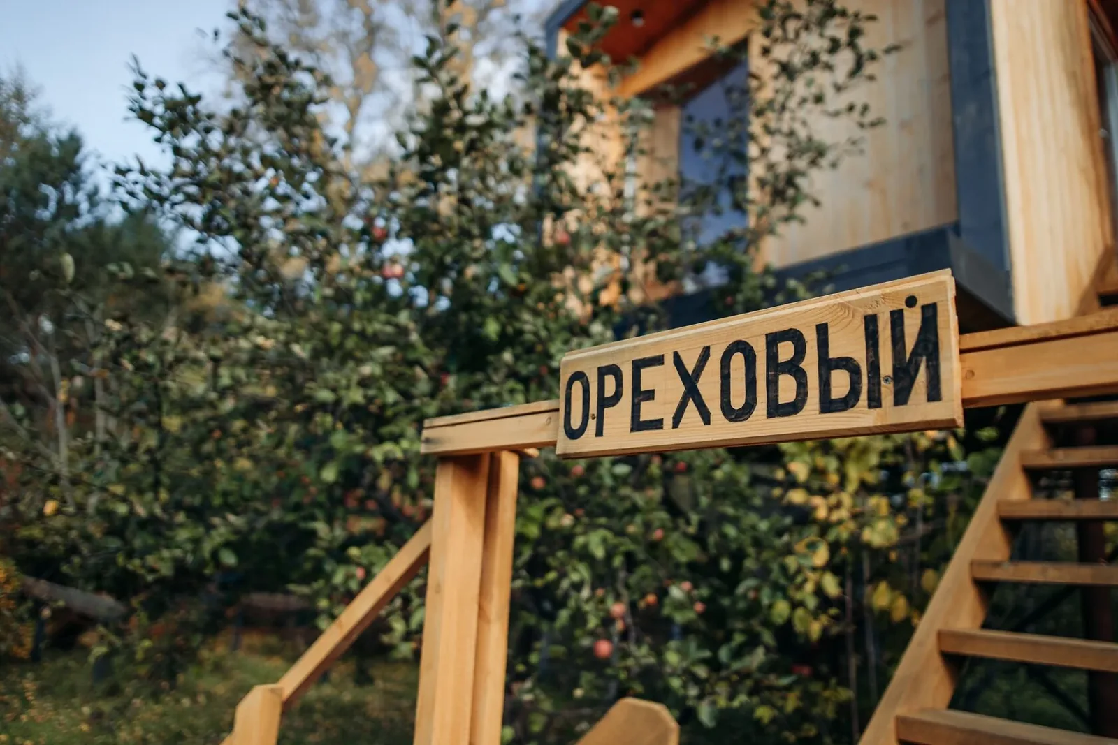 Дом на дереве — Романтический отдых
