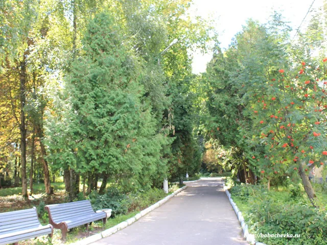 Лесопарк в черте Твери, фото 2