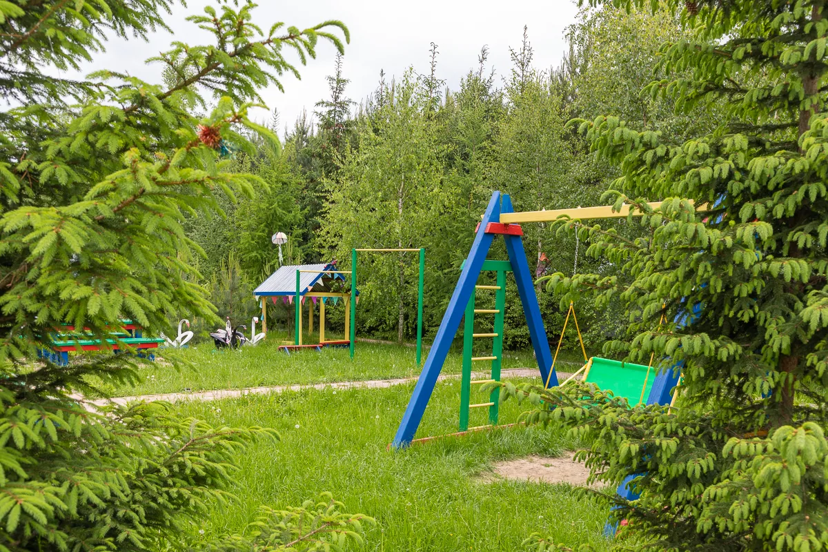 Декоративный пруд с утками и тропа здоровья, фото 4