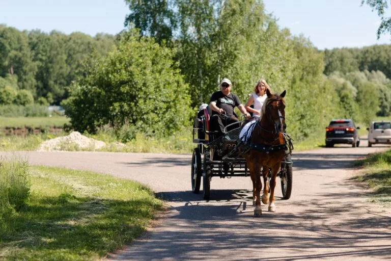 Конный двор: верхом, в экипаже и в санях, фото 5