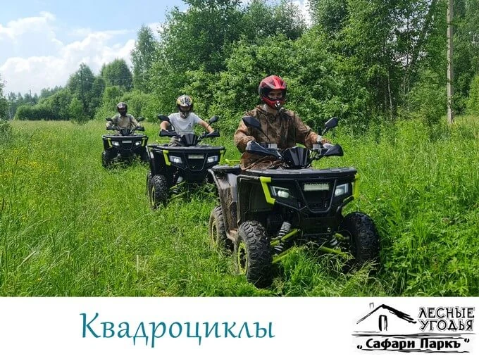 Квадроциклы по двум лесным маршрутам, фото 1