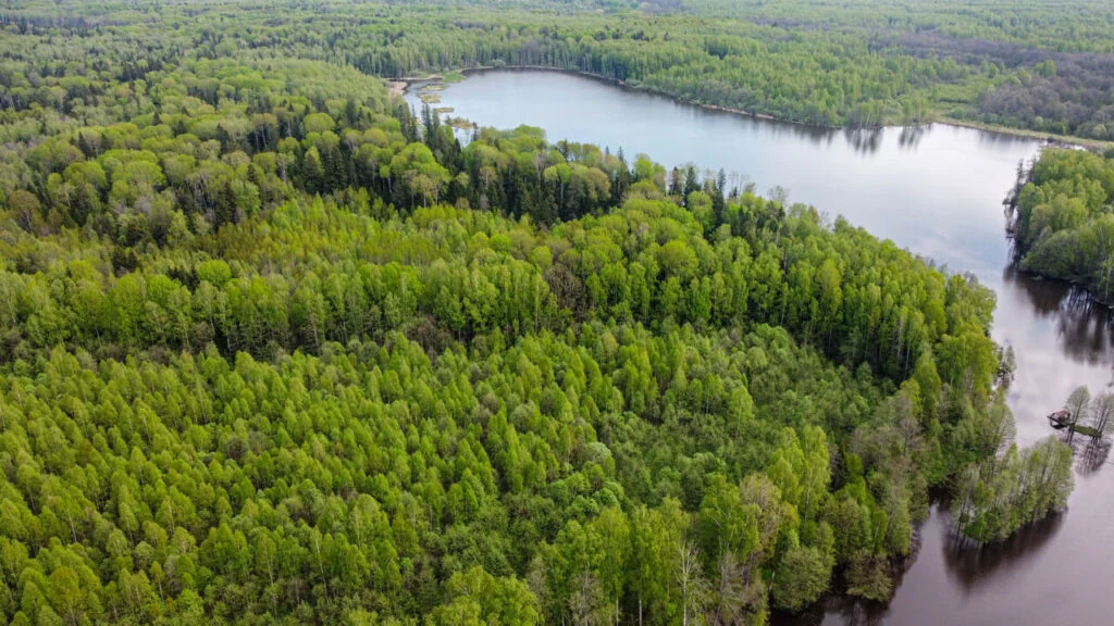 Полезно знать до бронирования, фото 4