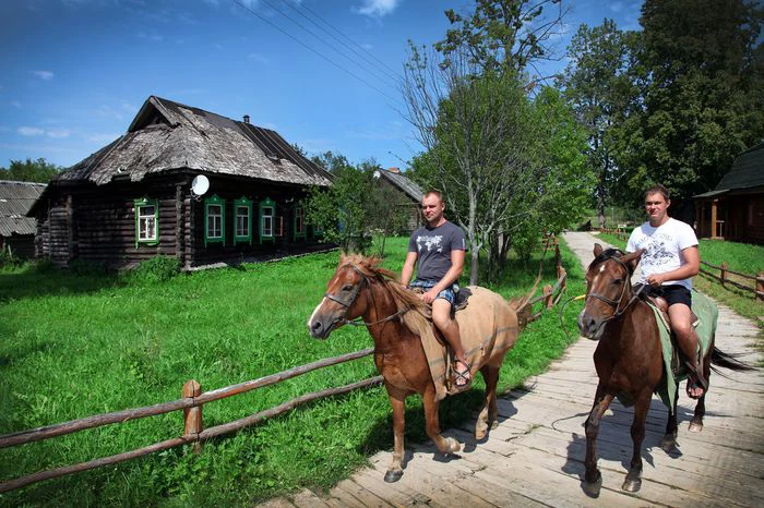 Конные прогулки, пони, сани и телега, фото 7