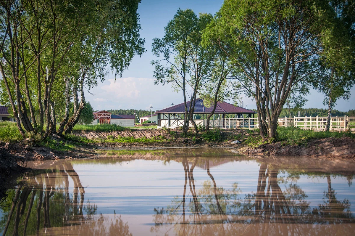 124 гектара полей, лесных трасс и пруд, фото 4
