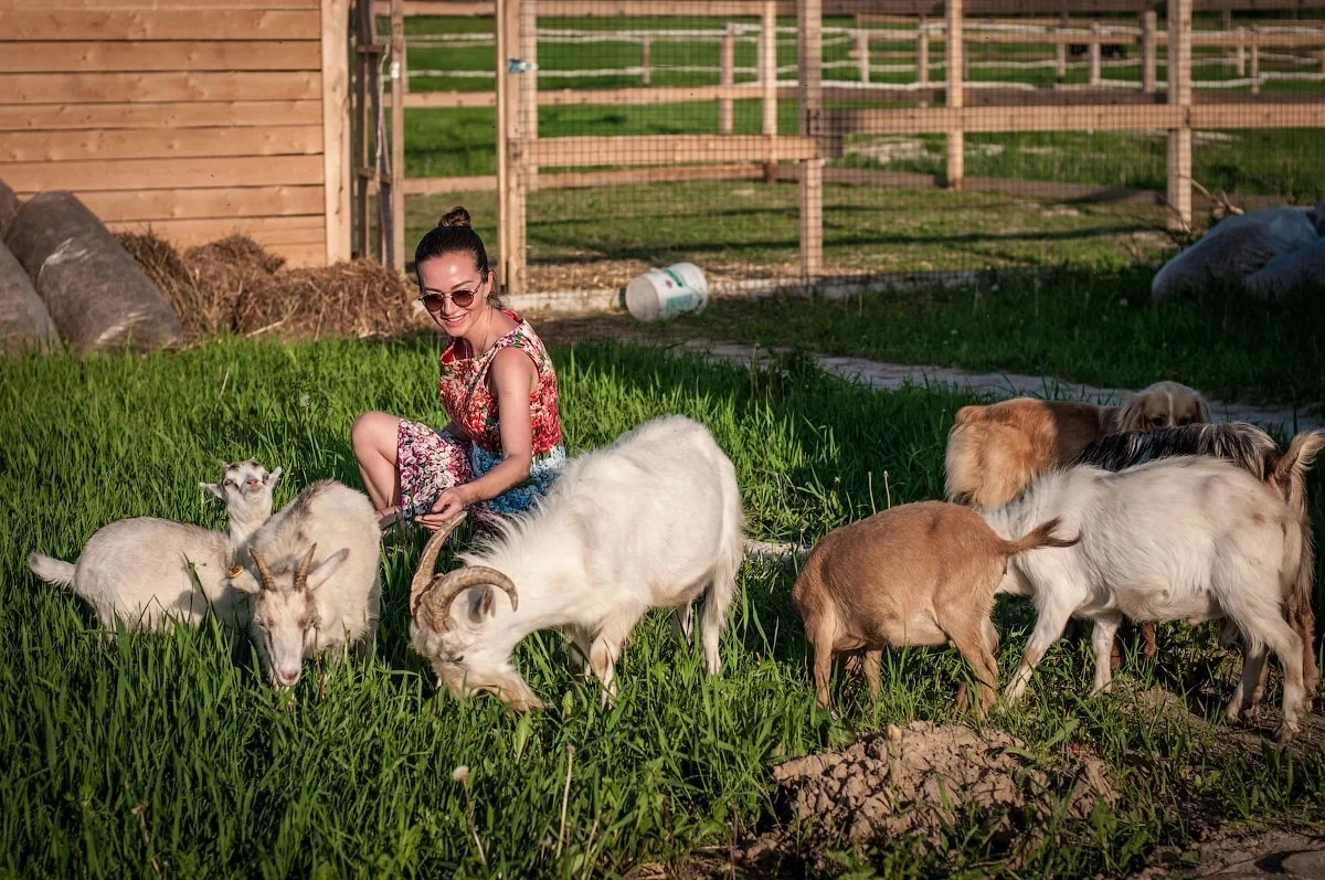 Молочная продукция собственной фермы, фото 13
