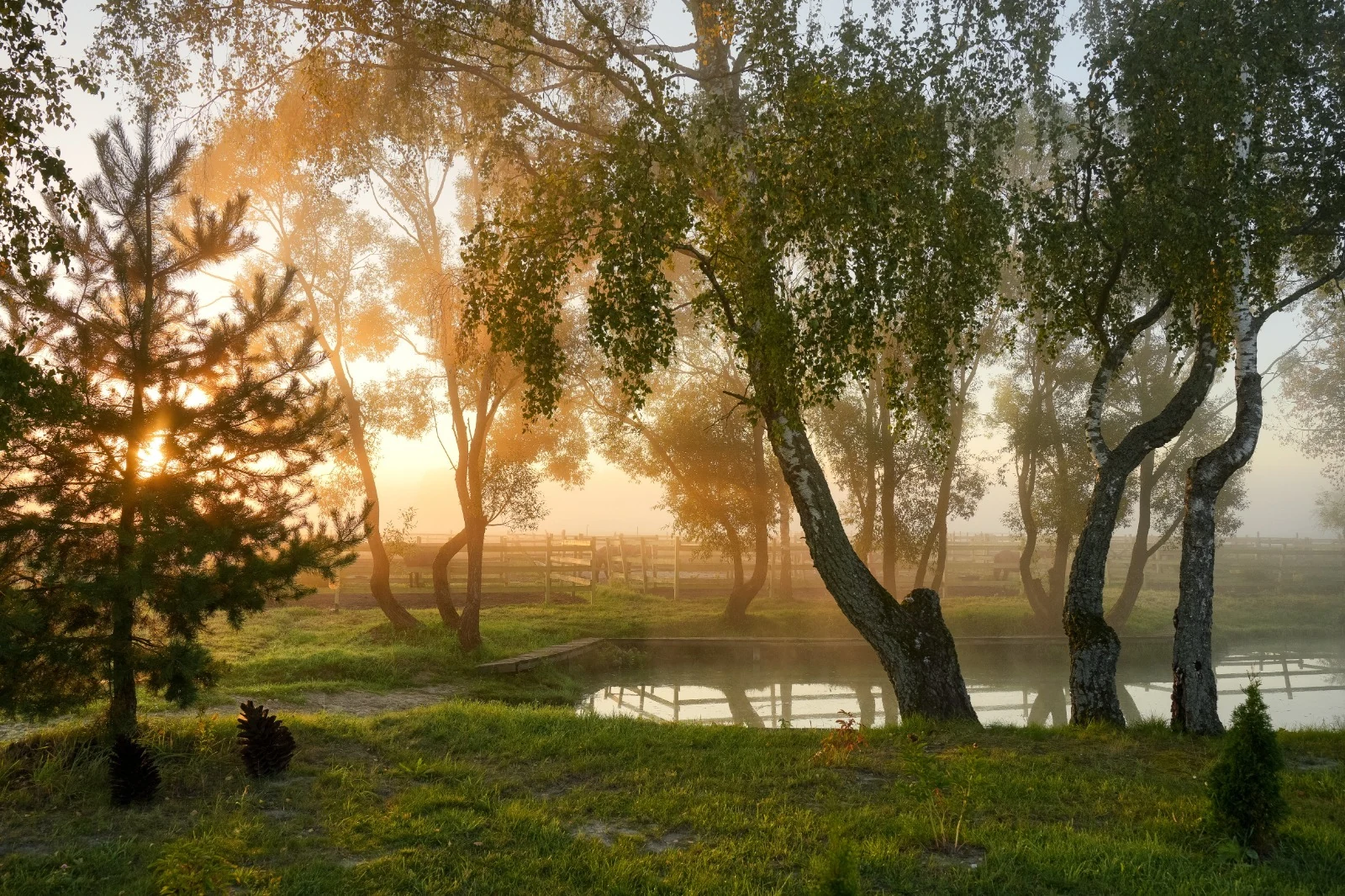 124 гектара полей, лесных трасс и пруд, фото 6