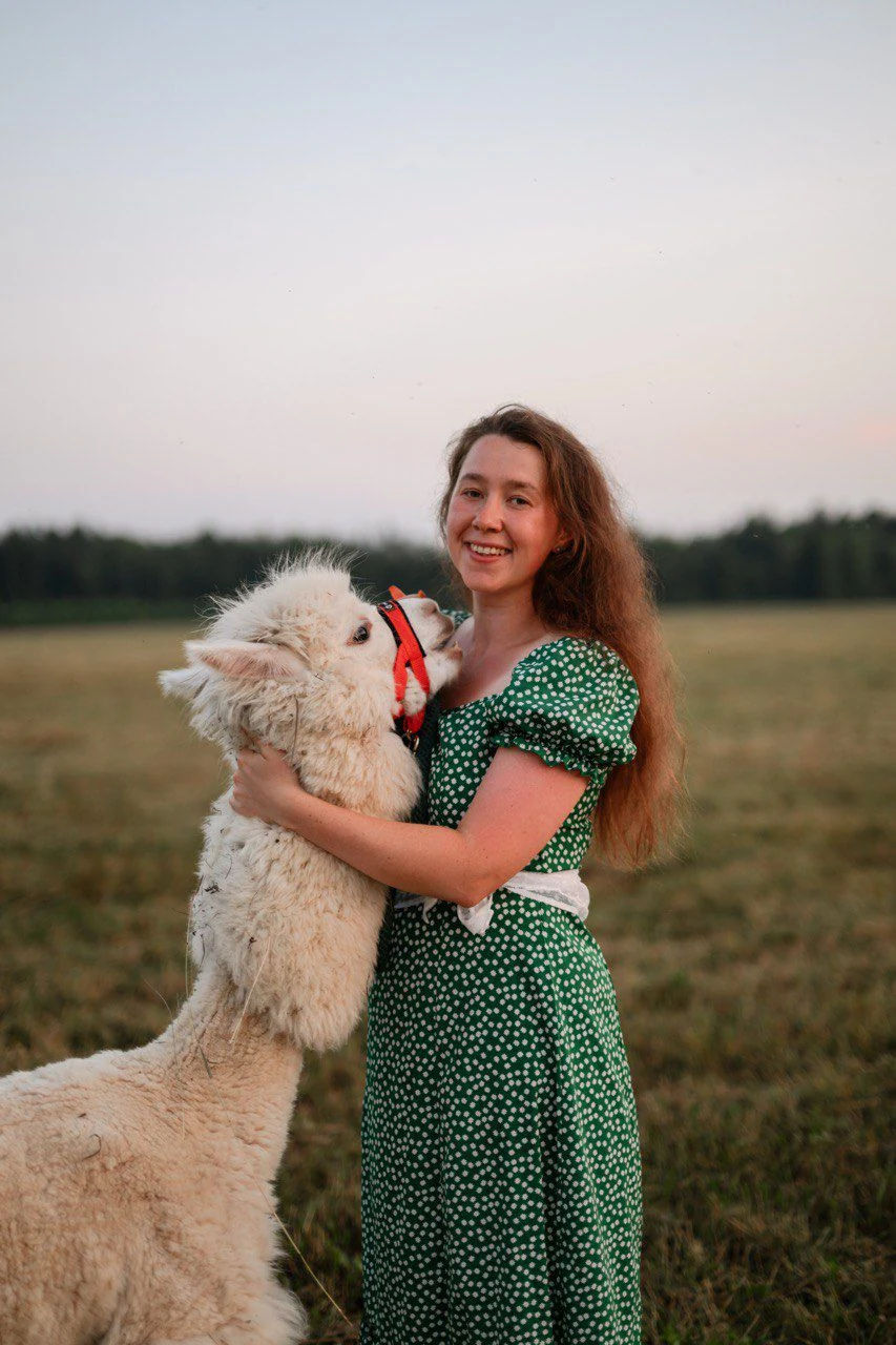 Альпаки: знакомство, кормление и прогулка, фото 5