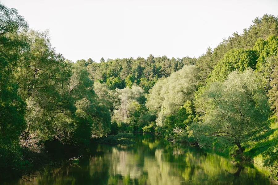 Pine River — Лесной отель