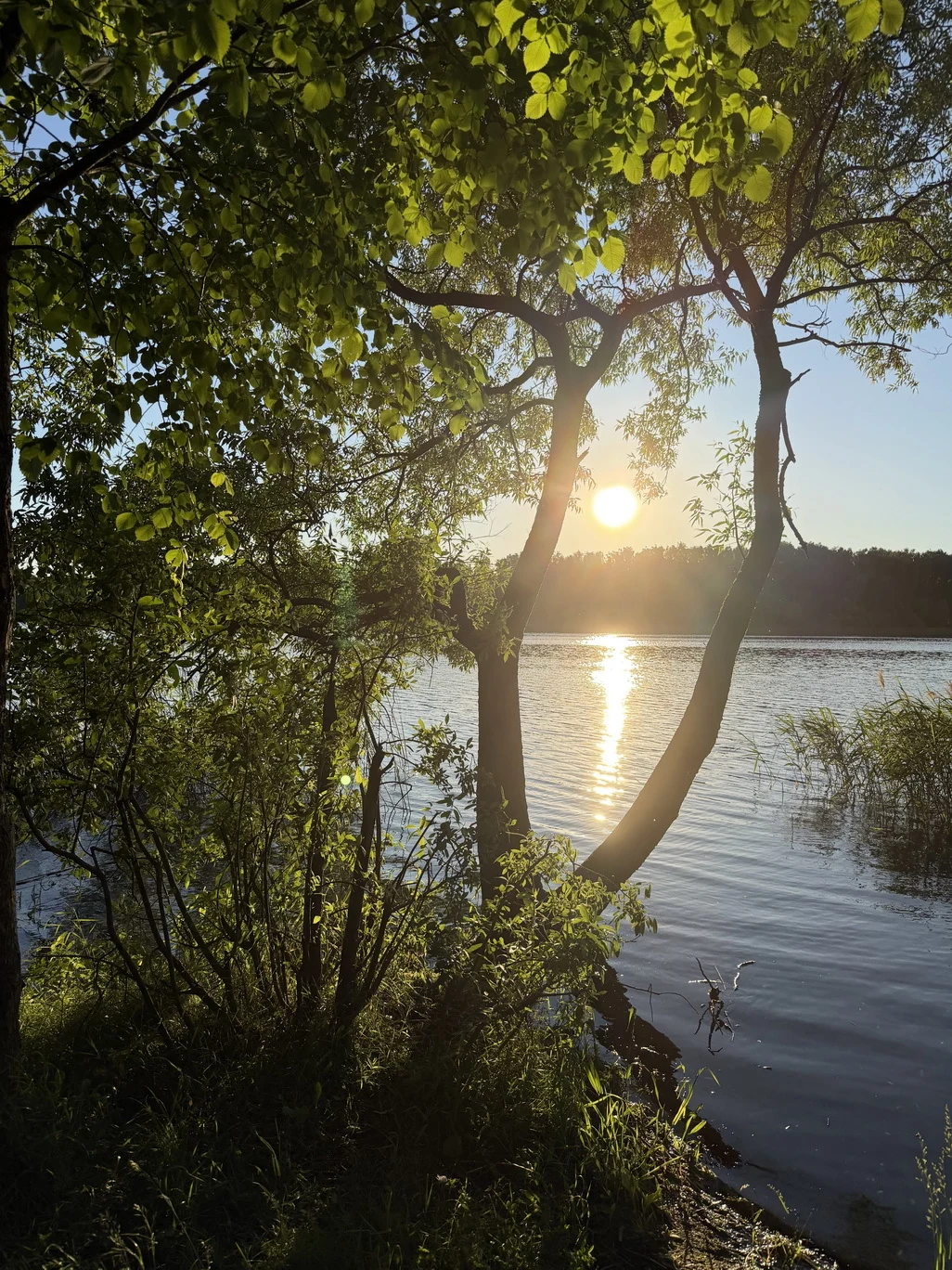 Рыбалка на Истринском водохранилище, фото 2