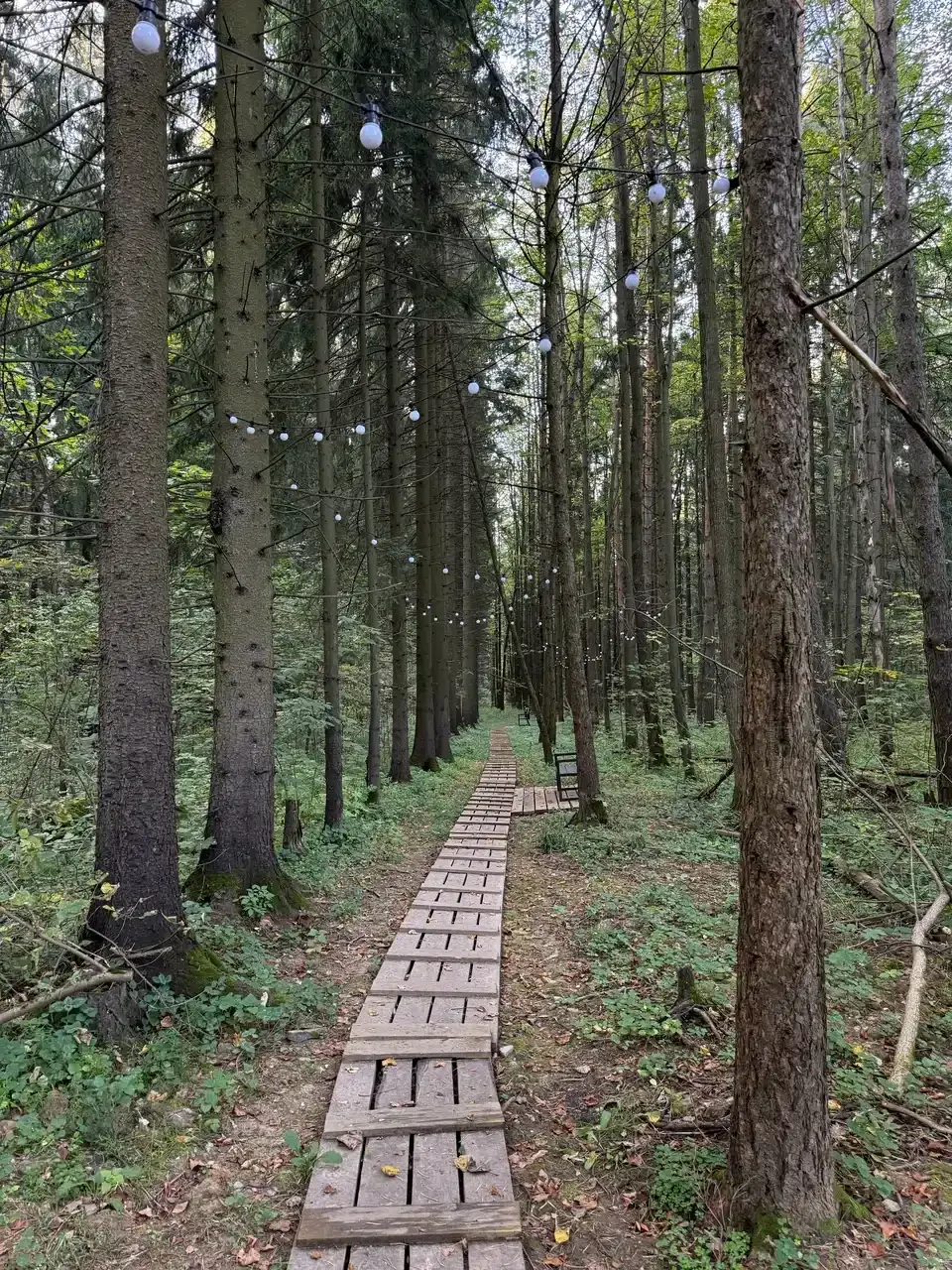 Экотропа и детская площадка, фото 1