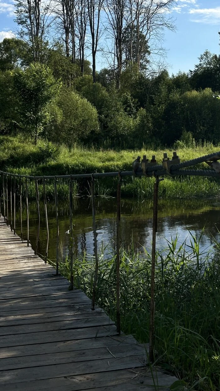 Лесные прогулки; река рядом, но без своего выхода, фото 2