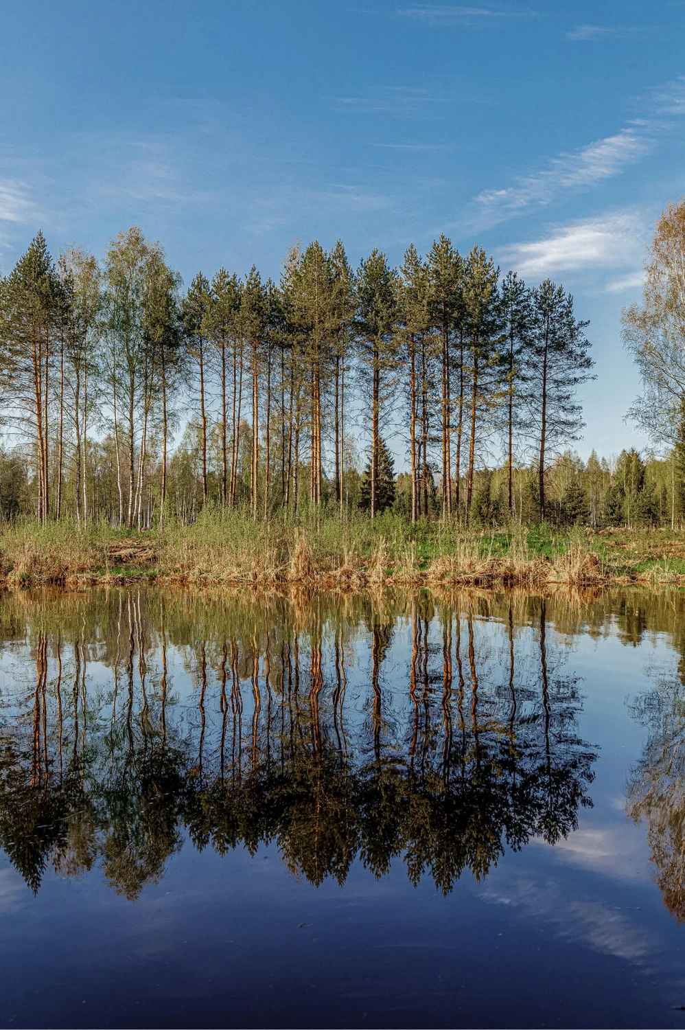 Orsha River Club — Рыбалка