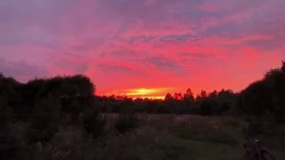 Лесосад ЮМа — Мастер-классы