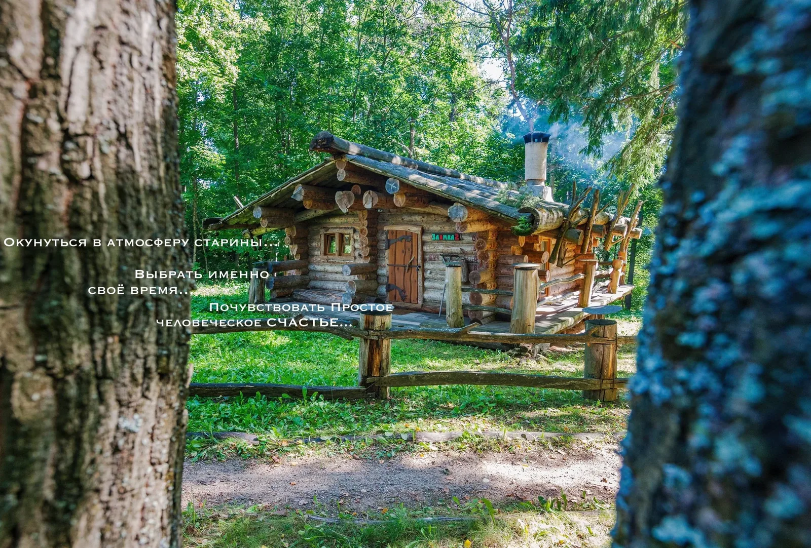 Лесная территория около 30 га, фото 6
