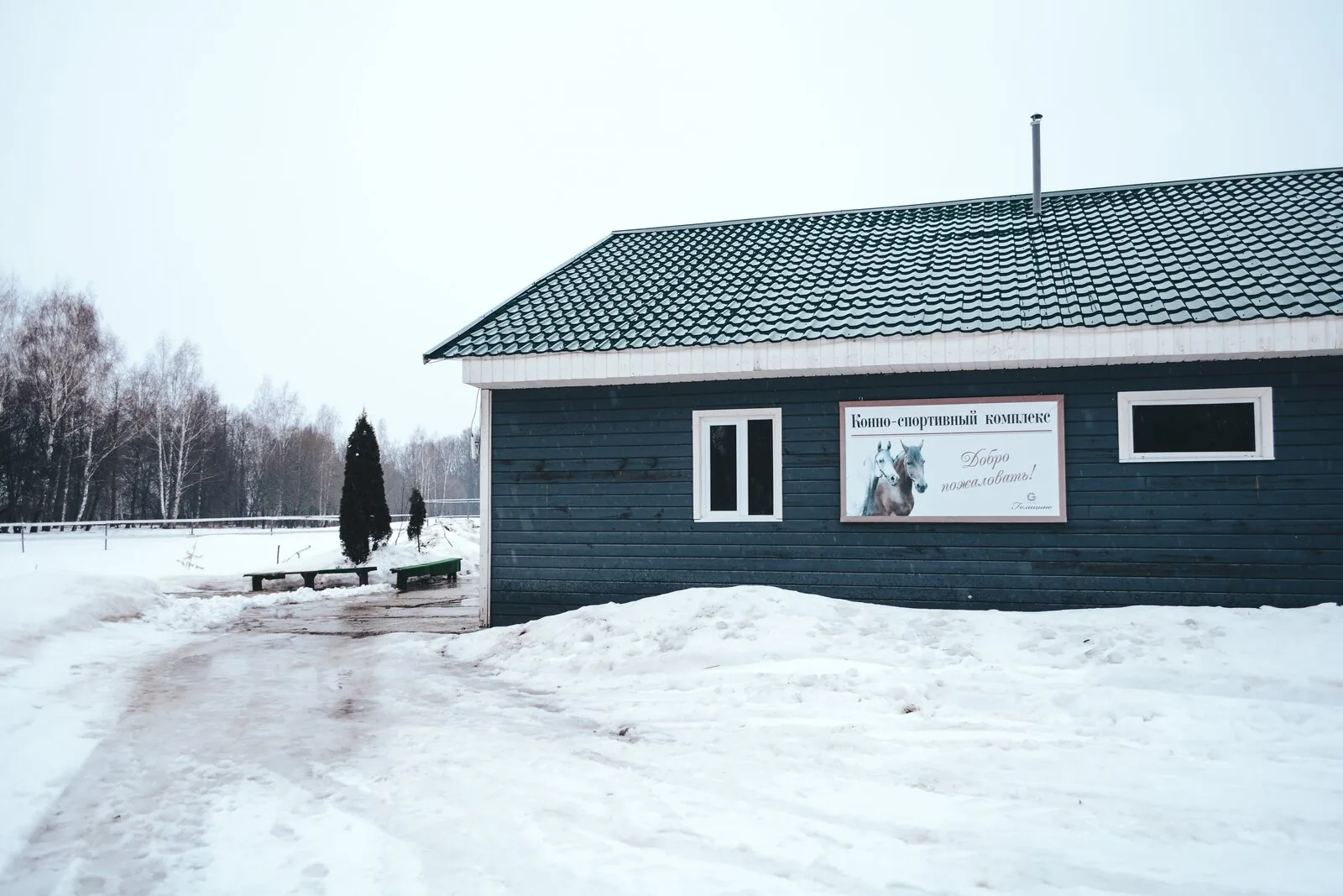 Конный клуб и прогулки верхом, фото 3