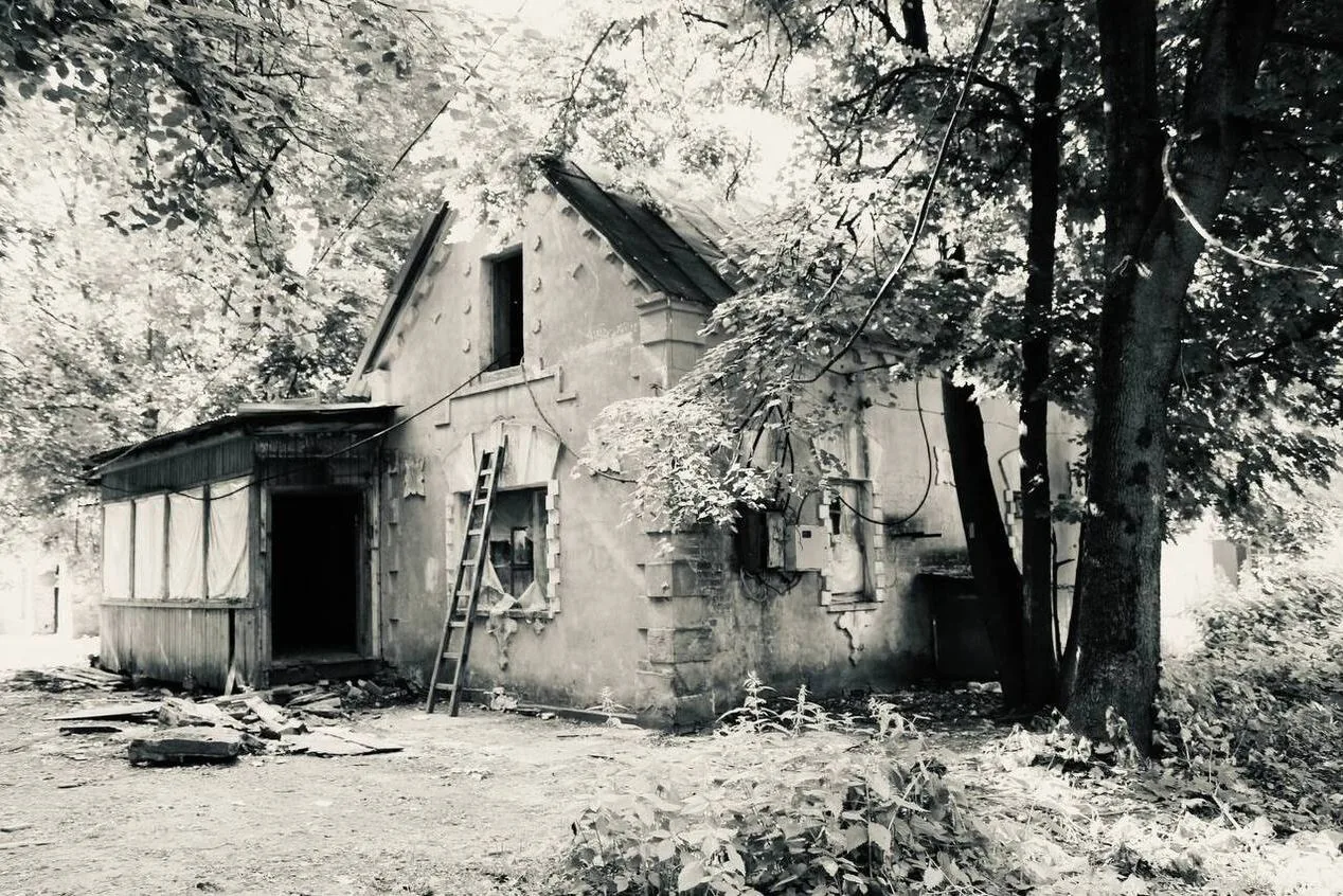 История усадьбы Тимохово-Салазкино, фото 2